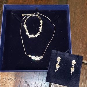 Swarovski Exclusive Edition